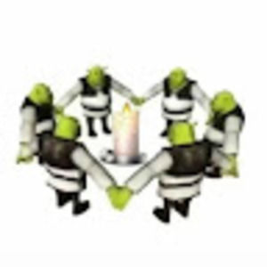 Meet your Posher, Ayla